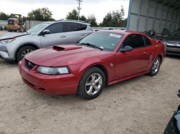  Salvage Ford Mustang