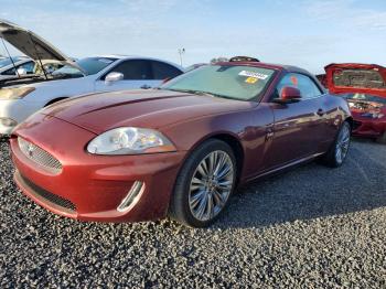  Salvage Jaguar XK