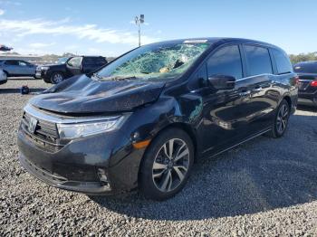  Salvage Honda Odyssey