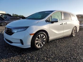  Salvage Honda Odyssey