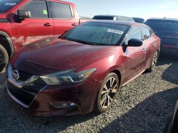  Salvage Nissan Maxima