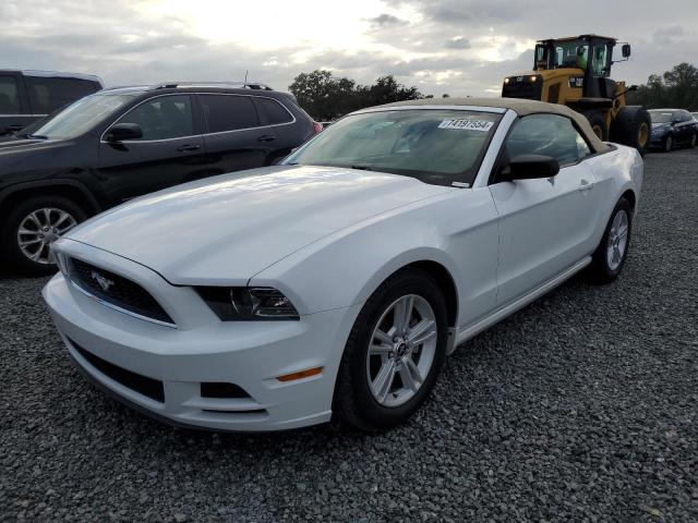  Salvage Ford Mustang