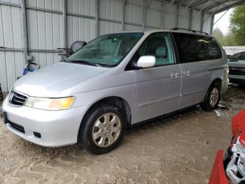  Salvage Honda Odyssey