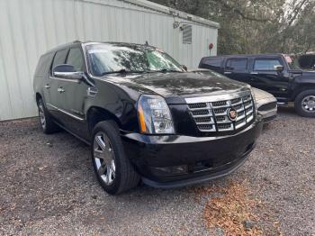  Salvage Cadillac Escalade