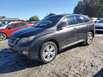  Salvage Lexus RX