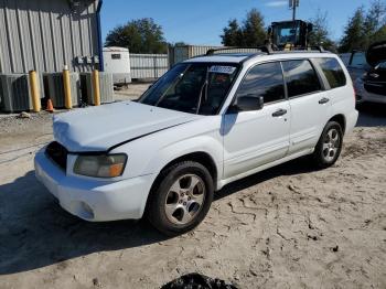  Salvage Subaru Forester