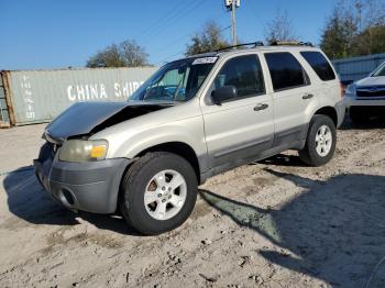  Salvage Ford Escape