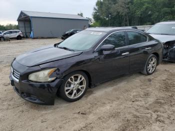  Salvage Nissan Maxima