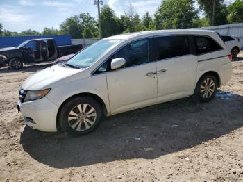  Salvage Honda Odyssey