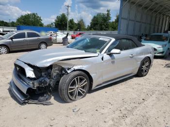  Salvage Ford Mustang