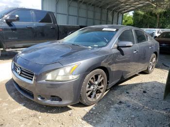  Salvage Nissan Maxima