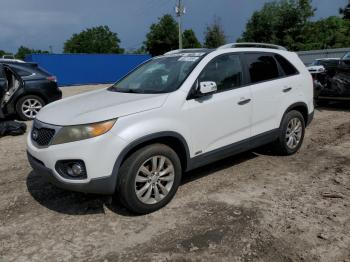  Salvage Kia Sorento