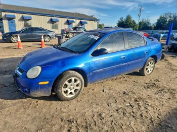  Salvage Dodge Neon