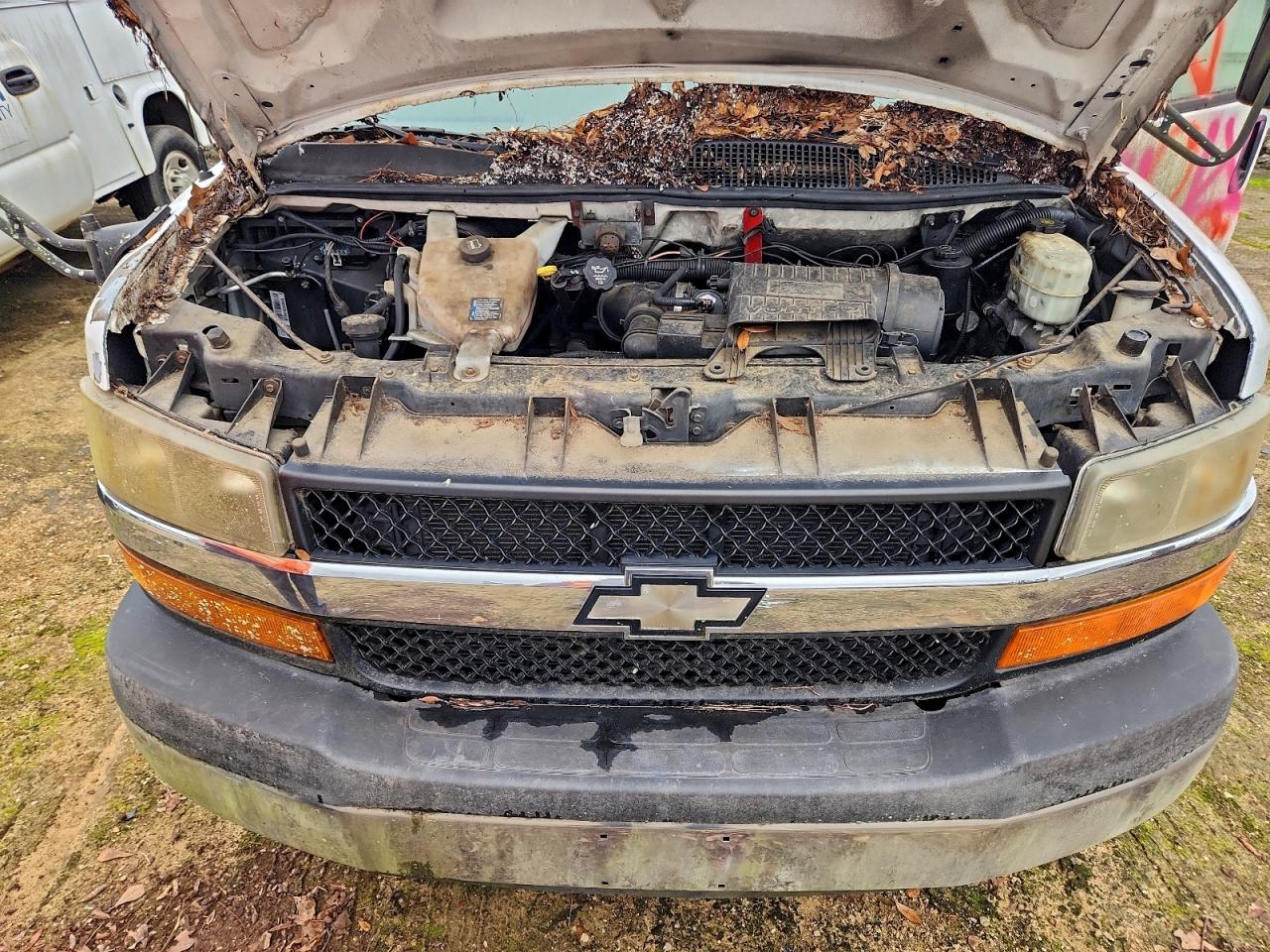 Chevrolet Express Image 2