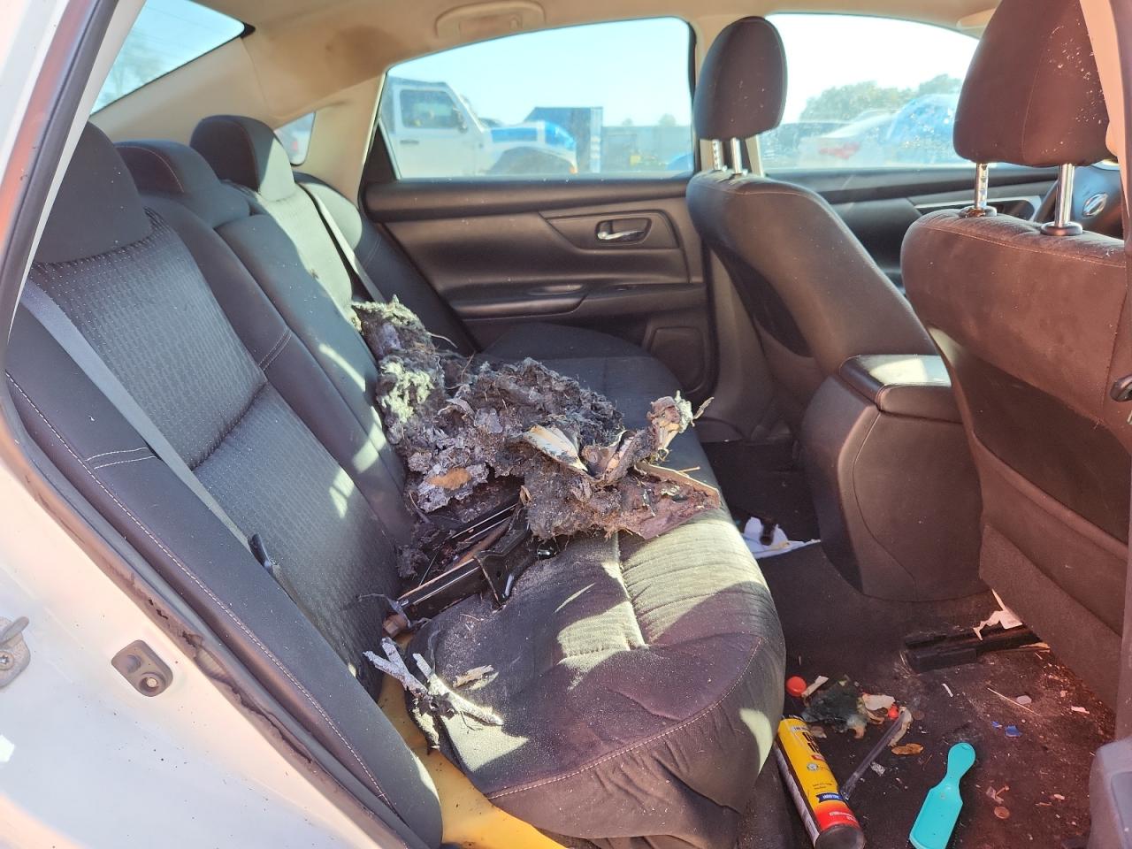 Nissan Altima 2.5 Image 5